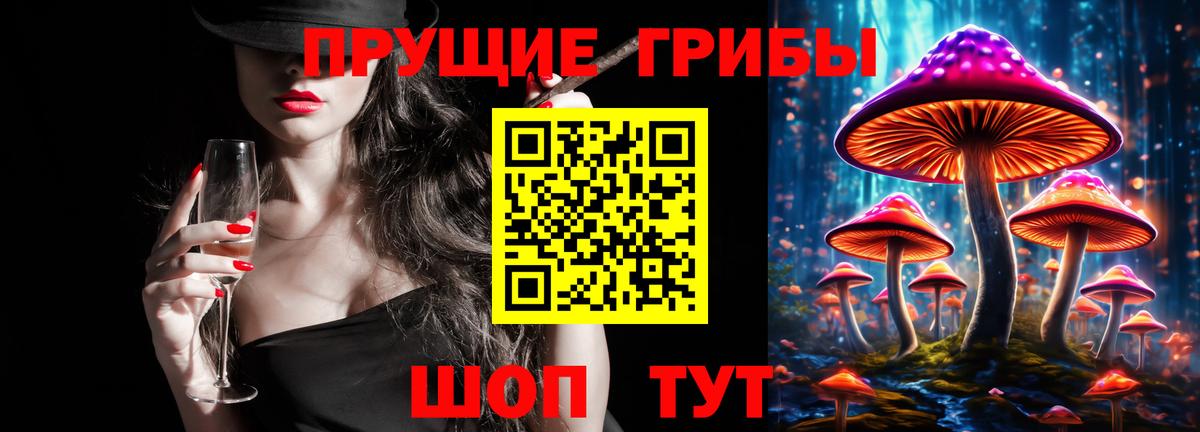 Галлюциногенные грибы Psilocybe Ишимбай